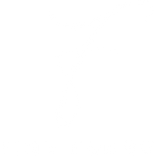 Fine Fungo